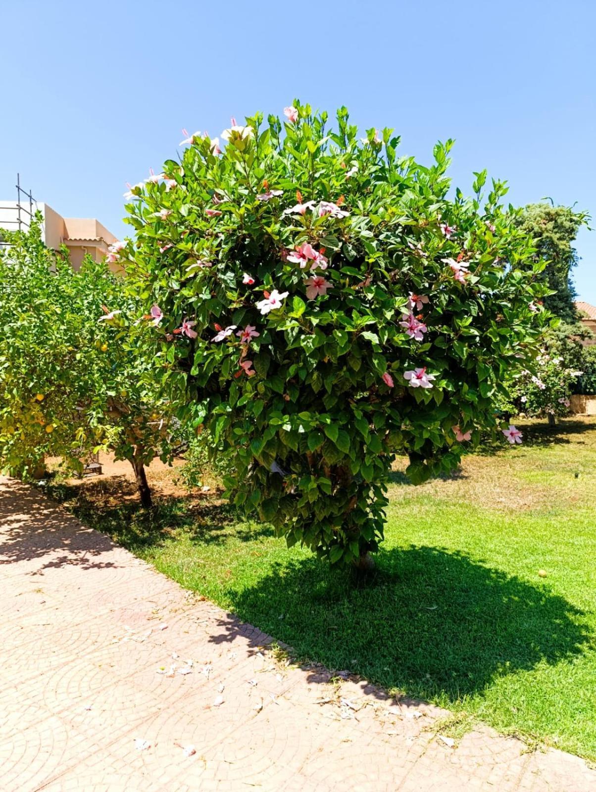 Casa In Giardino A Pochi Passi Dal Mare Villa Palermo Luaran gambar