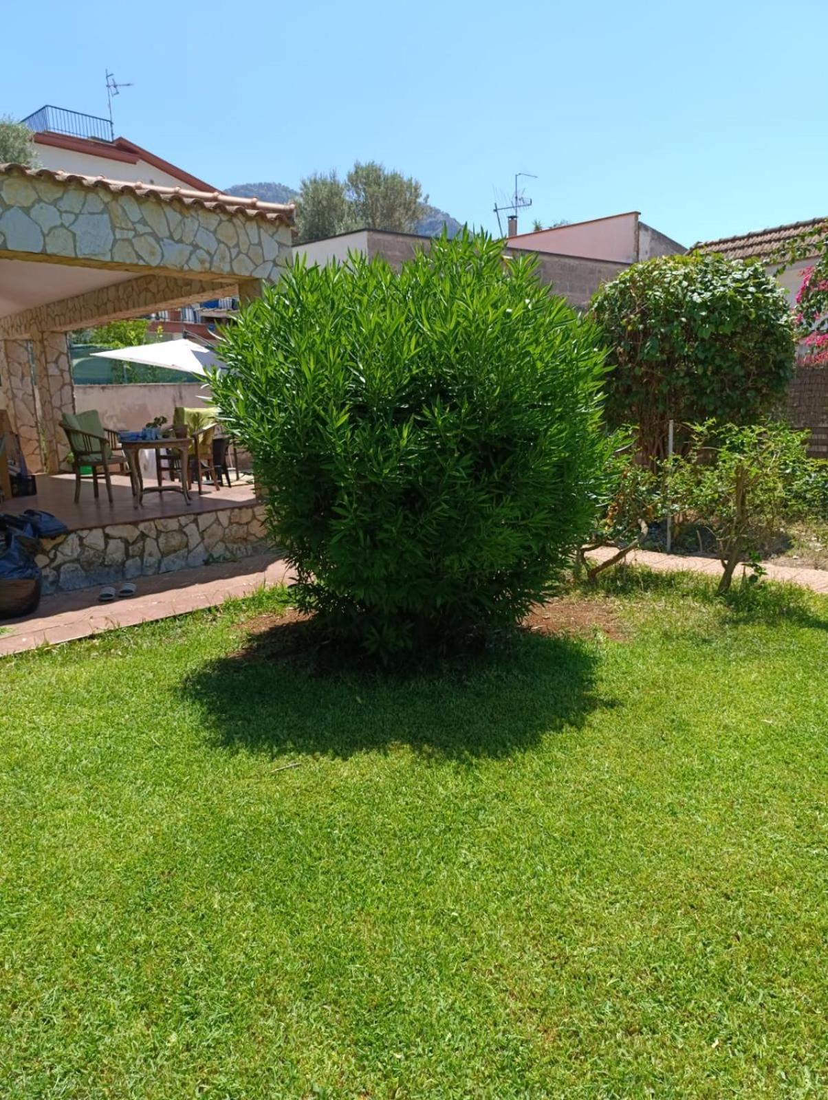 Casa In Giardino A Pochi Passi Dal Mare Villa Palermo Luaran gambar